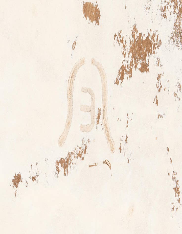 Detail image of  6' 8 x 7' 2 Cowhide Leather Rug