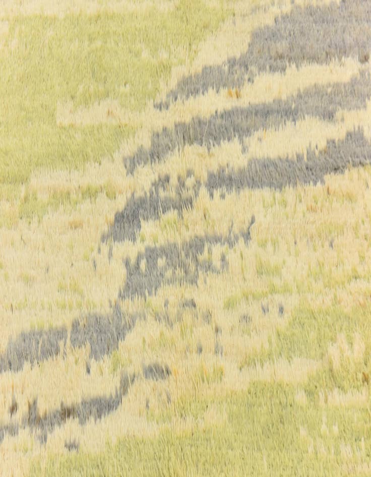 Detail image of  6' 6 x 9' 8  Hand Knotted Darya Wool Rug