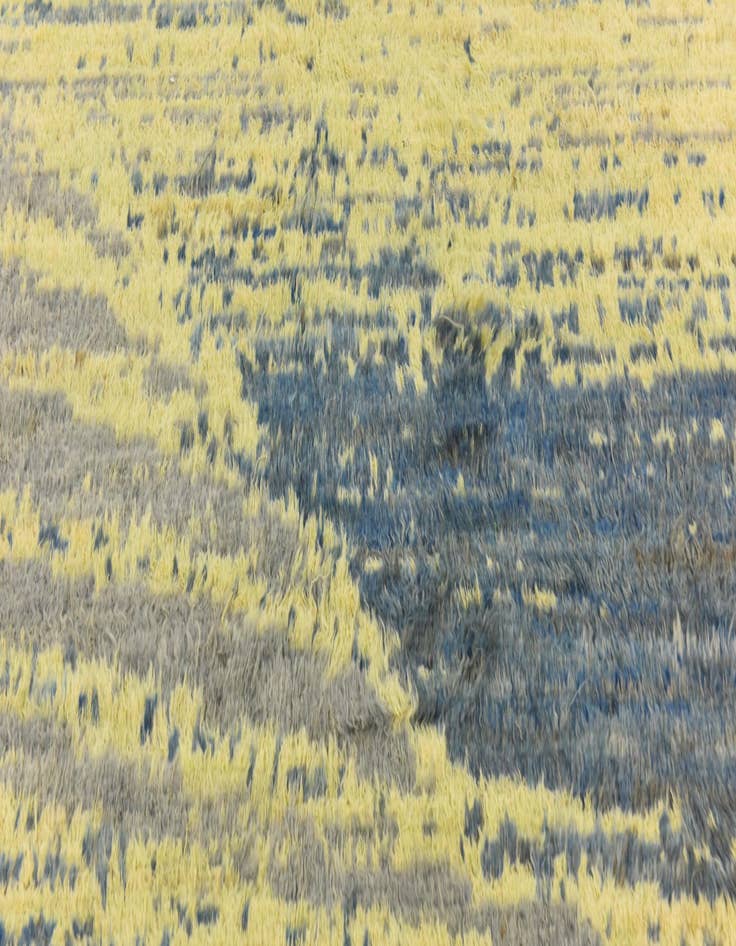 Detail image of  6' 6 x 9' 6  Hand Knotted Darya Wool Rug