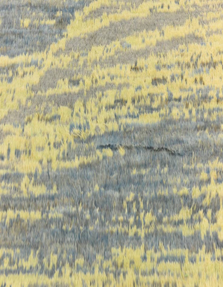 Detail image of  6' 6 x 9' 6  Hand Knotted Darya Wool Rug