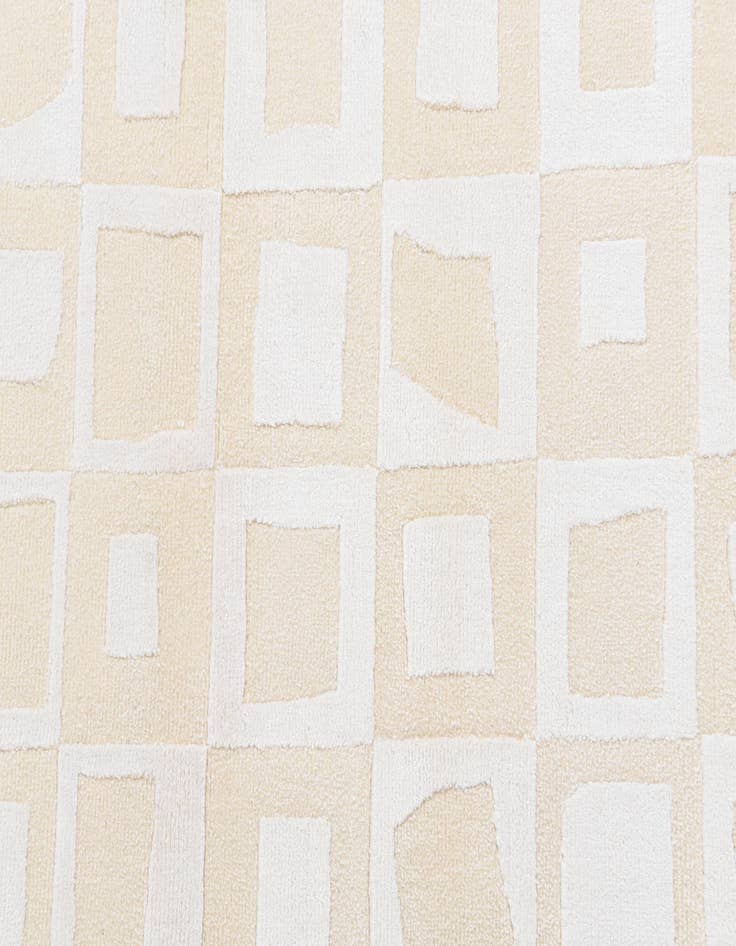 Detail image of  3' x 5'  Hand Knotted Darya Wool Rug