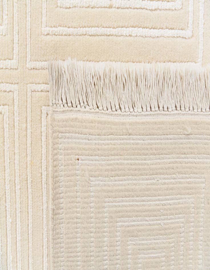 Detail image of  8' 2 x 11' 6  Hand Knotted Darya Wool Rug