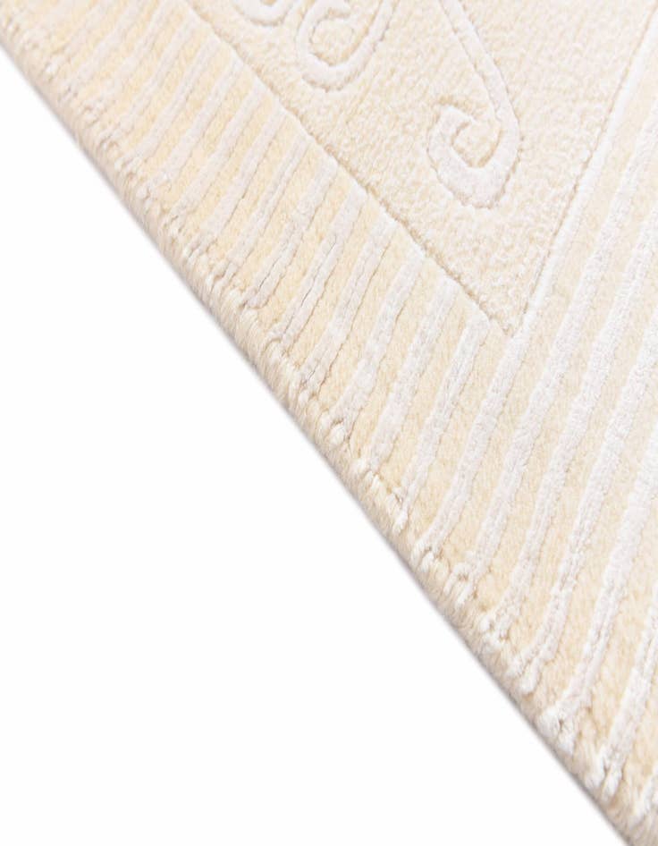 Detail image of  2' 8 x 4' 11  Hand Knotted Darya Rug