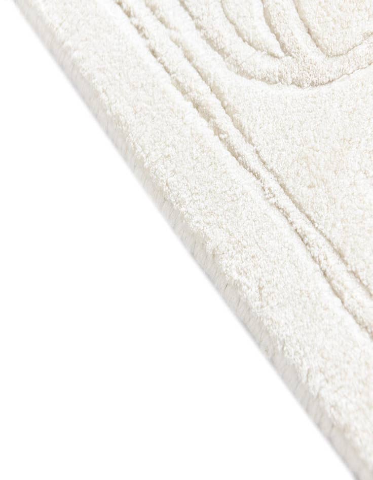 Detail image of  3' 11 x 5' 11 Darya Rug