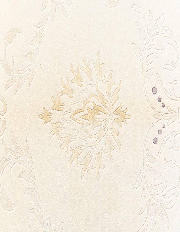 Detail image of  3' 11 x 5' 11 Darya Rug