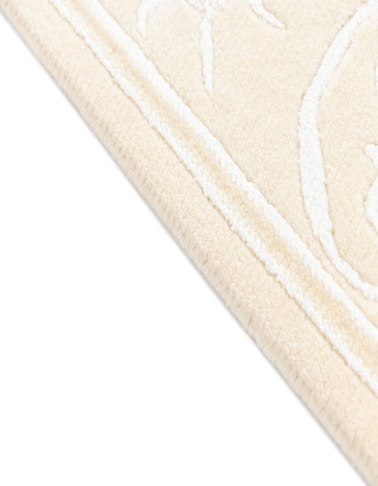 Detail image of  3' 11 x 5' 11 Darya Rug