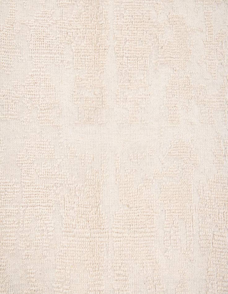 Detail image of  6' x 9' 4  Hand Knotted Darya Wool Rug