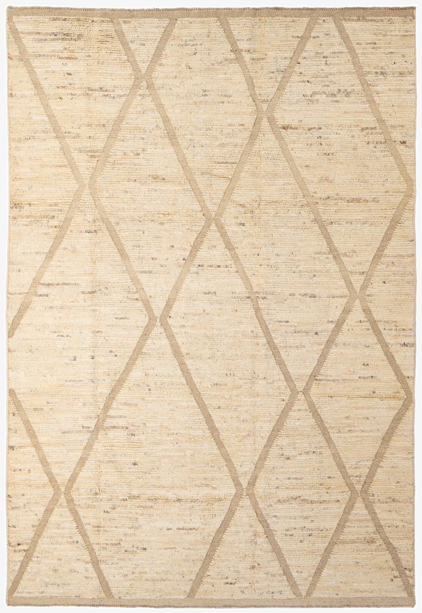  6' 10 x 10'  Hand Knotted Darya Wool Rug