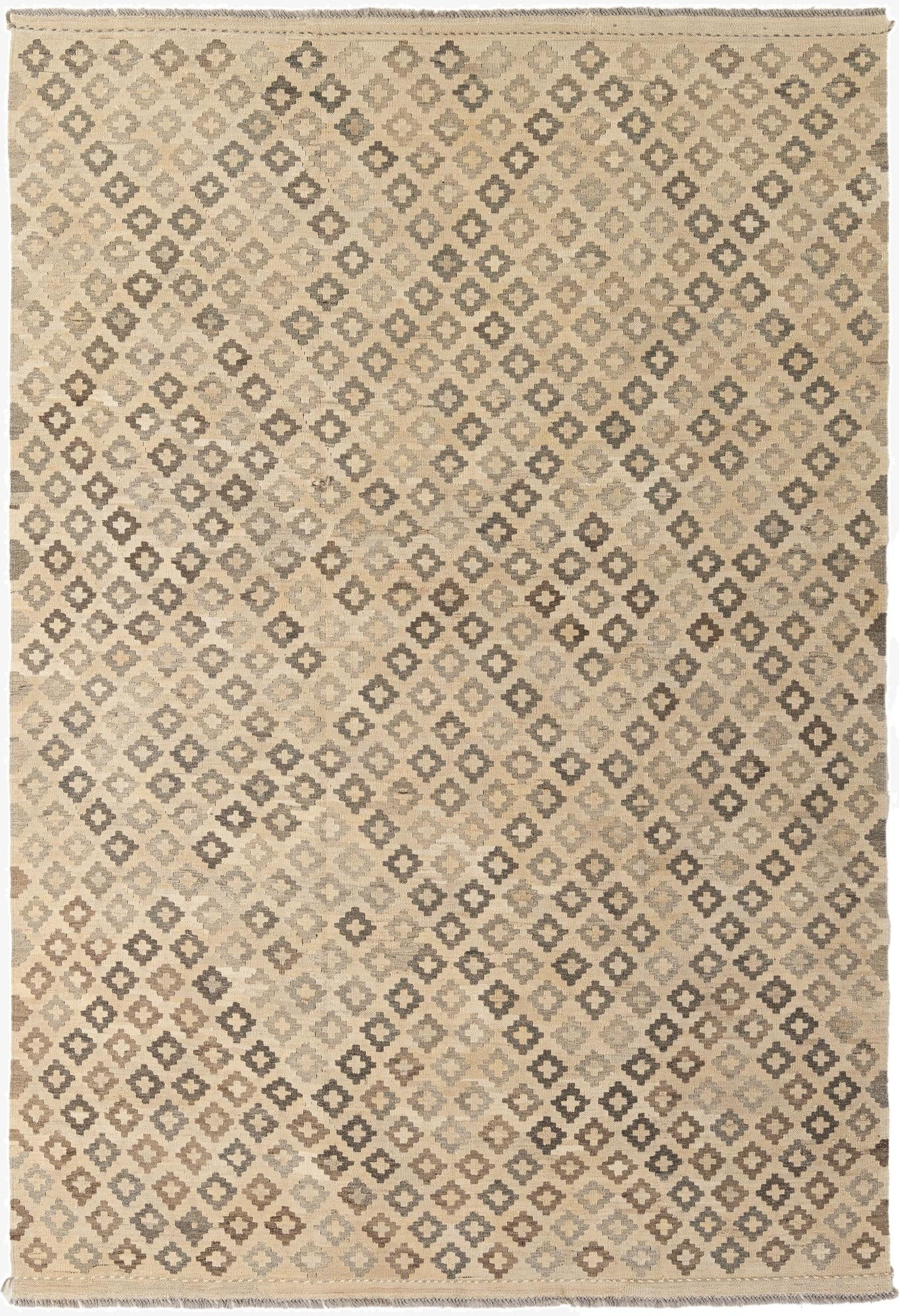  6' 10 x 9' 10  Hand Woven Kilim Maymana Wool Rug