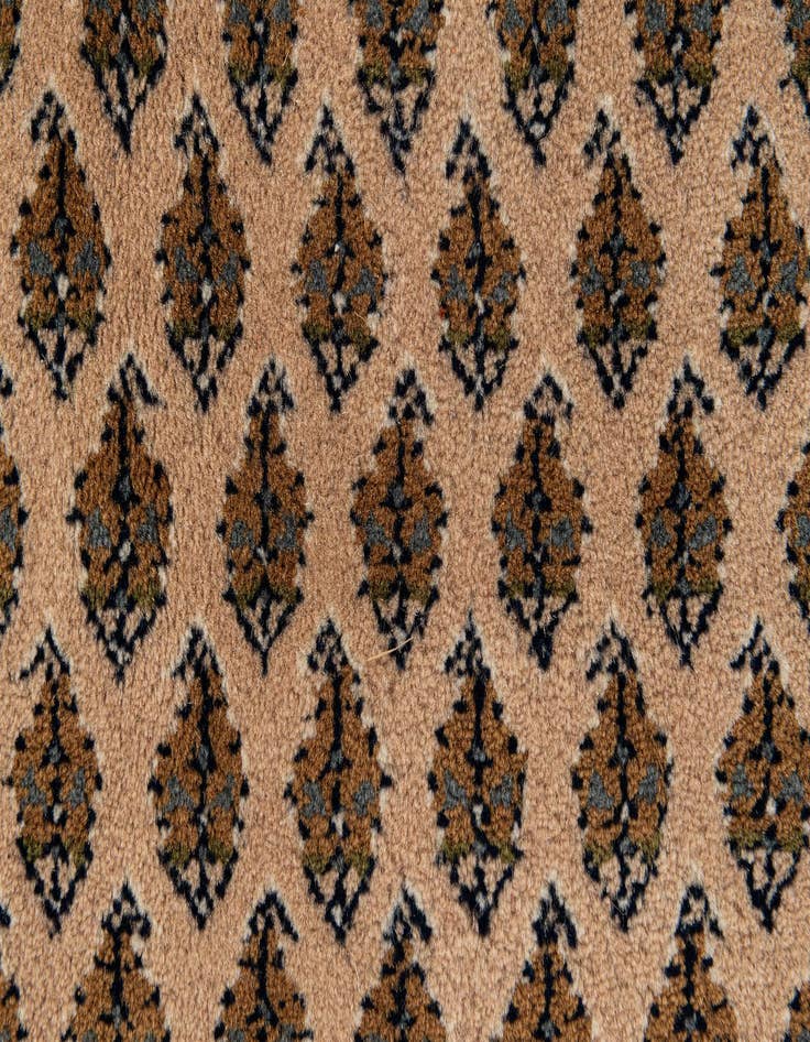 Detail image of  9' 11 x 13' 1  Hand Knotted Mir Oriental Wool Rug