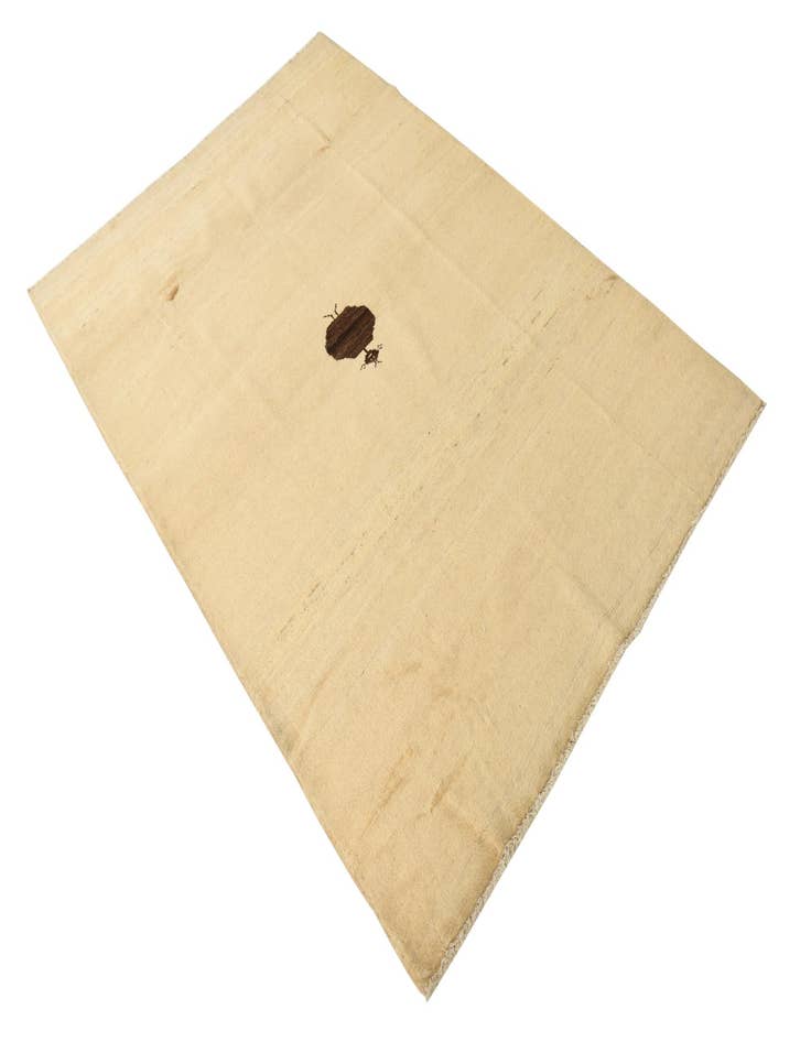 Detail image of  4' 1 x 6' 1  Hand Knotted Modern Ziegler Rug