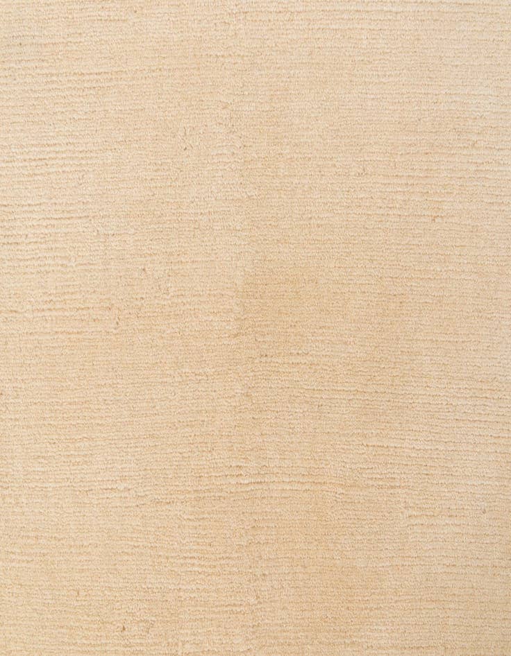 Detail image of  4' x 6'  Hand Knotted Nepal Rug