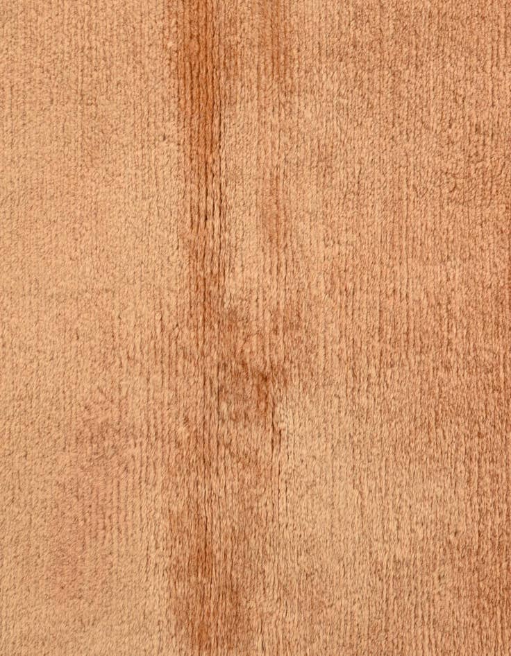 Detail image of  2' 5 x 4' 7  Hand Knotted Nepal Wool Rug