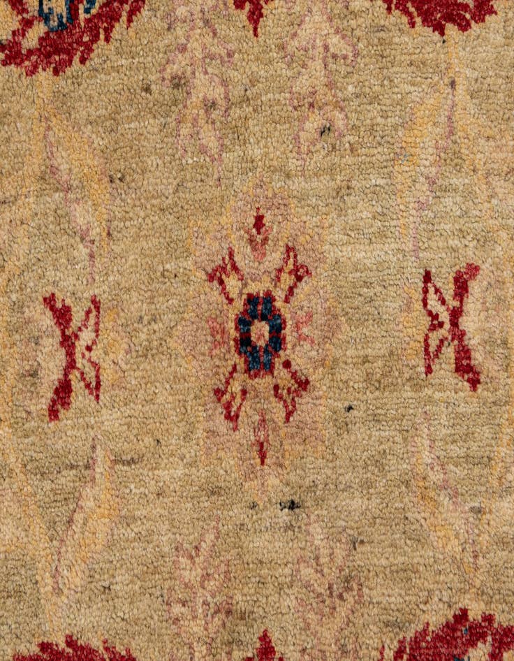 Detail image of  6' 4 x 9' 6  Hand Knotted Peshawar Ziegler Wool Rug
