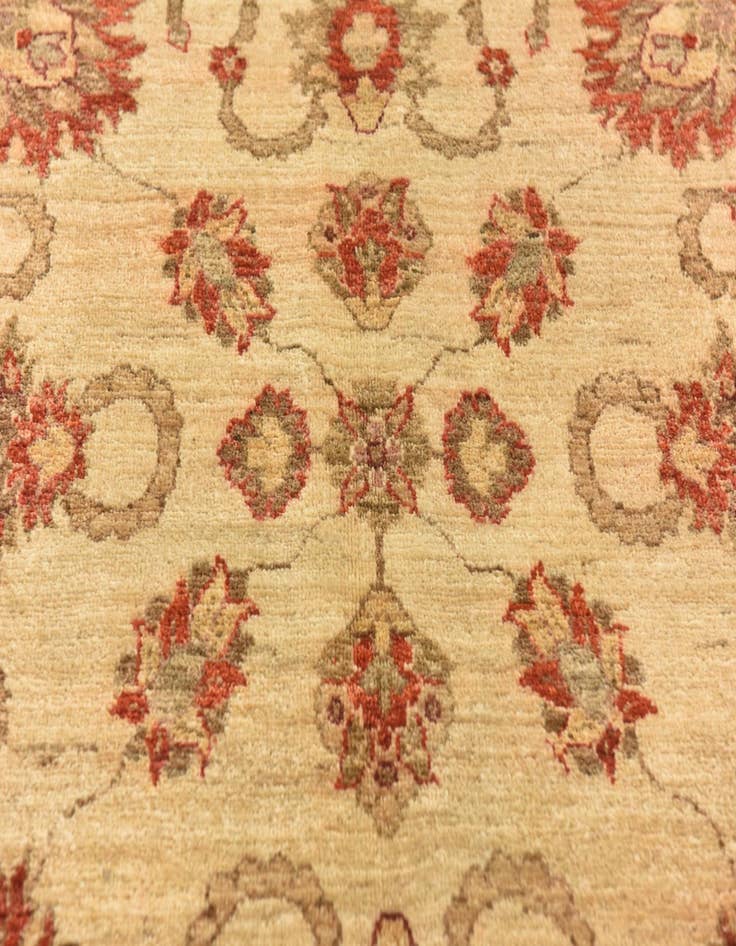 Detail image of  6' x 8' 3  Hand Knotted Peshawar Ziegler Rug