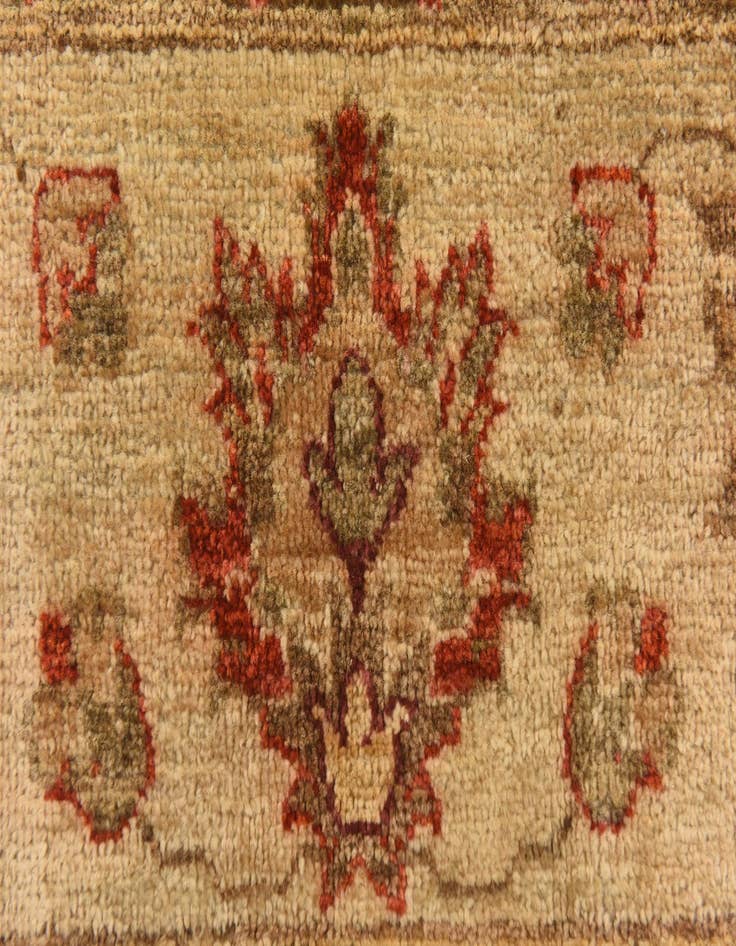Detail image of  6' x 8' 3  Hand Knotted Peshawar Ziegler Rug
