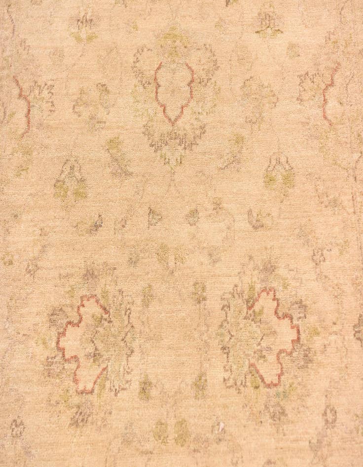 Detail image of  4' x 6' 1  Hand Knotted Peshawar Ziegler Rug