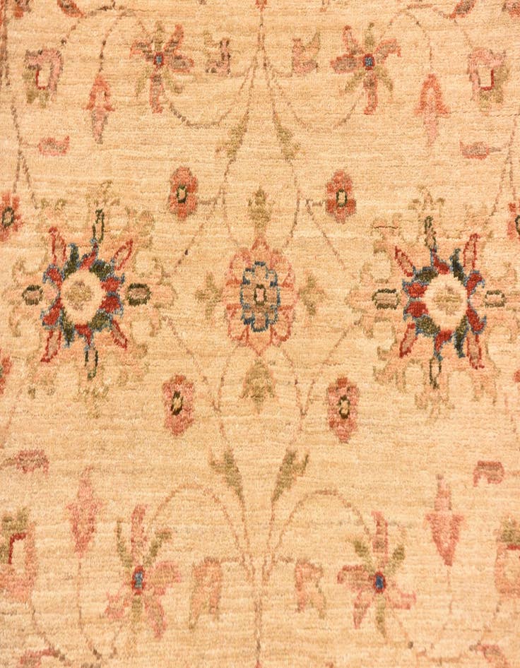 Detail image of  4' x 6'  Hand Knotted Peshawar Ziegler Rug