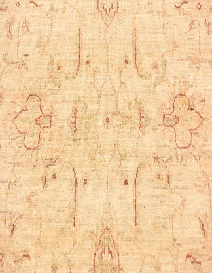 Detail image of  4' x 6' 2  Hand Knotted Peshawar Ziegler Rug
