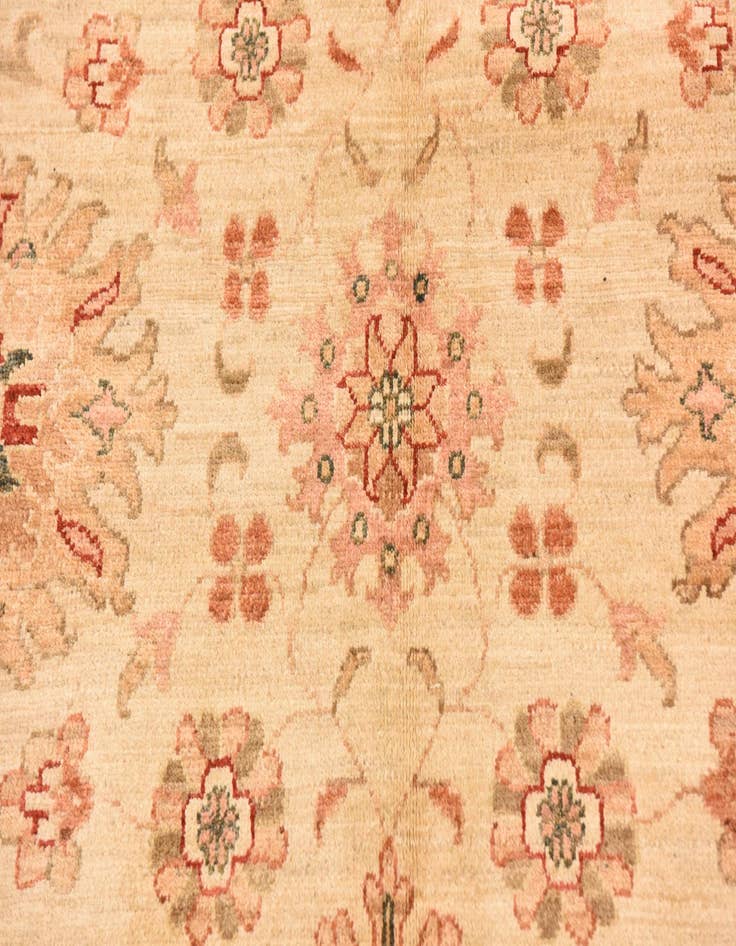 Detail image of  9' 9 x 12' 9  Hand Knotted Peshawar Ziegler Rug