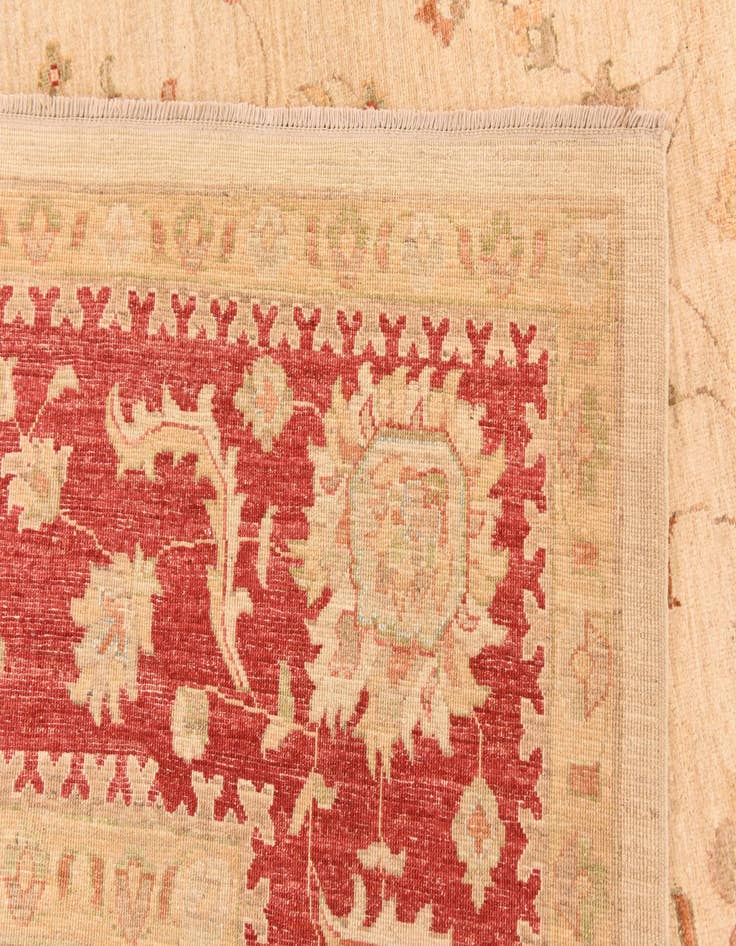 Detail image of  9' 11 x 12' 11  Hand Knotted Peshawar Ziegler Rug