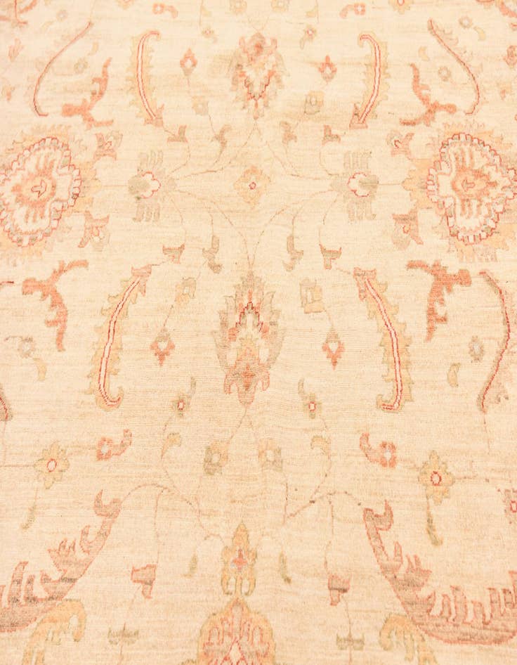Detail image of  9' 11 x 12' 11  Hand Knotted Peshawar Ziegler Rug
