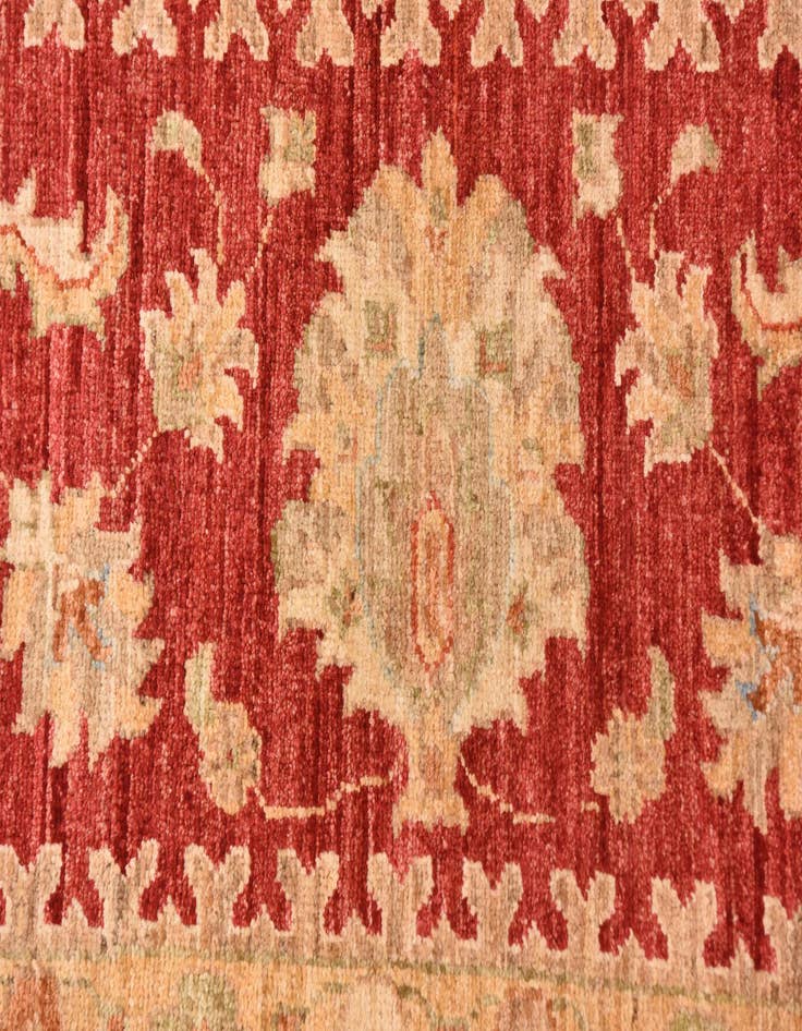 Detail image of  9' 11 x 12' 11  Hand Knotted Peshawar Ziegler Rug