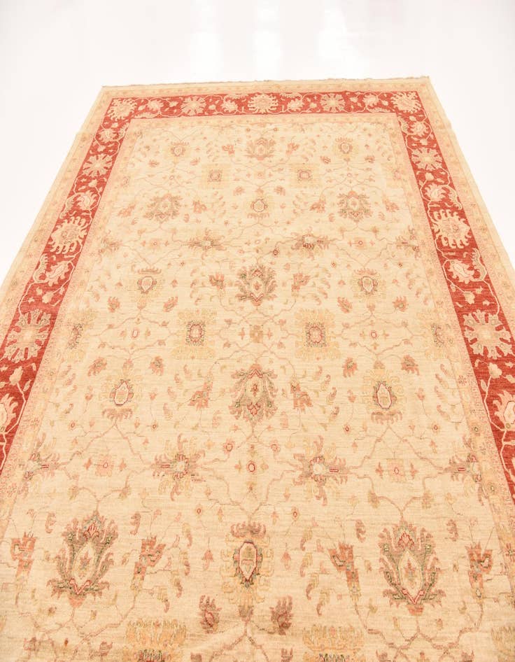 Detail image of  10' x 13' 2  Hand Knotted Peshawar Ziegler Rug