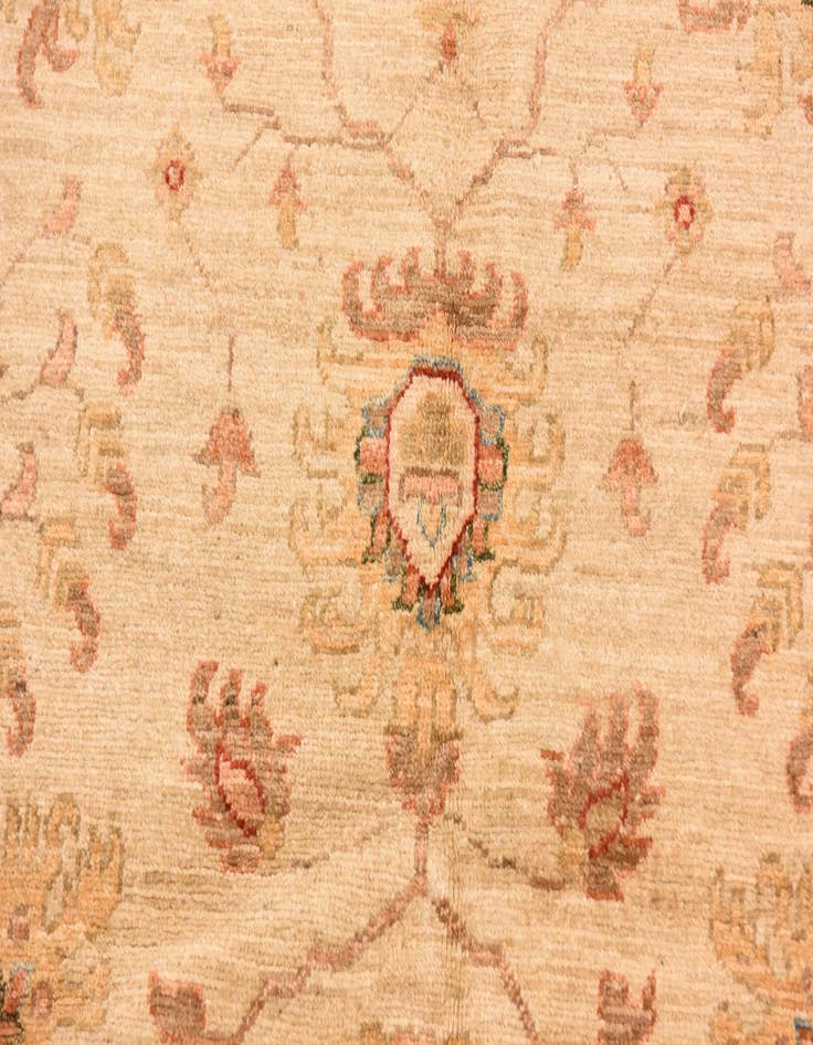 Detail image of  10' x 13' 2  Hand Knotted Peshawar Ziegler Rug