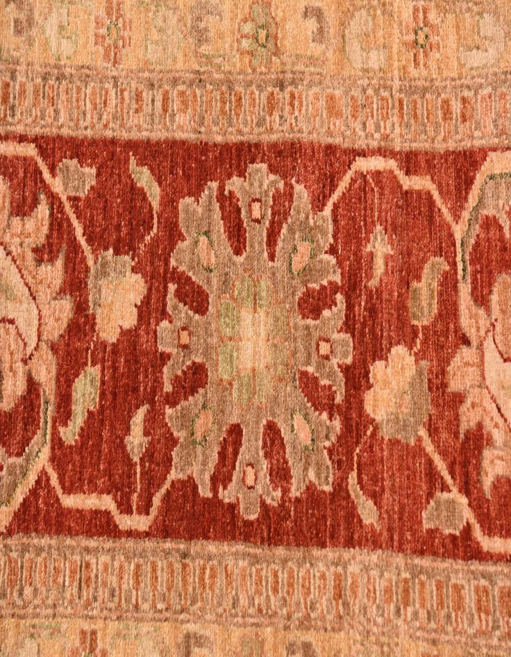 Detail image of  10' x 13' 2  Hand Knotted Peshawar Ziegler Rug