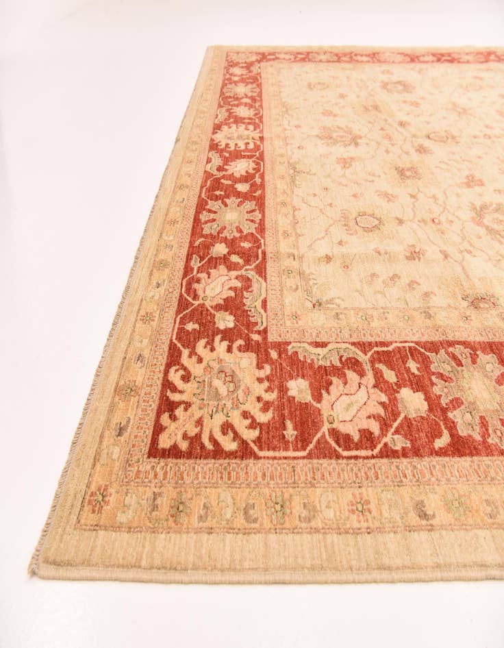 Detail image of  10' x 13' 2  Hand Knotted Peshawar Ziegler Rug