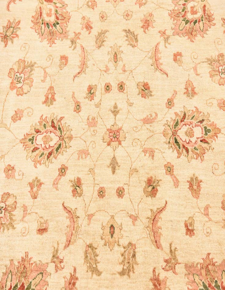 Detail image of  6' 3 x 8' 3  Hand Knotted Peshawar Ziegler Rug