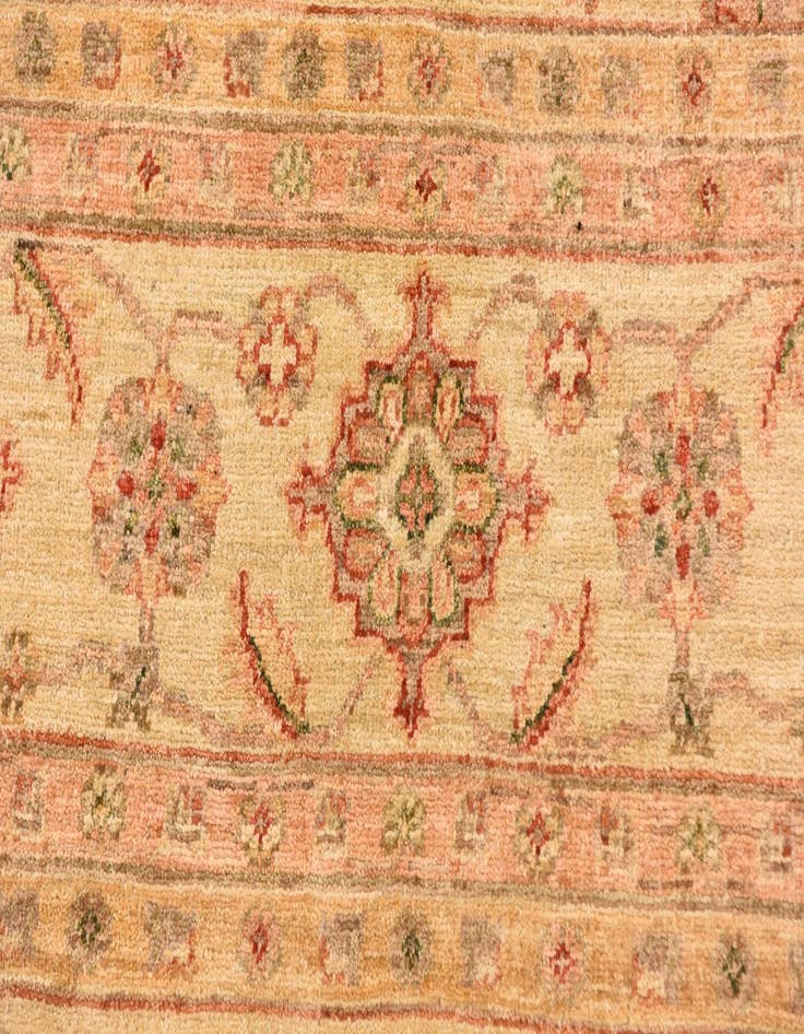 Detail image of  9' 1 x 11' 11  Hand Knotted Peshawar Ziegler Rug