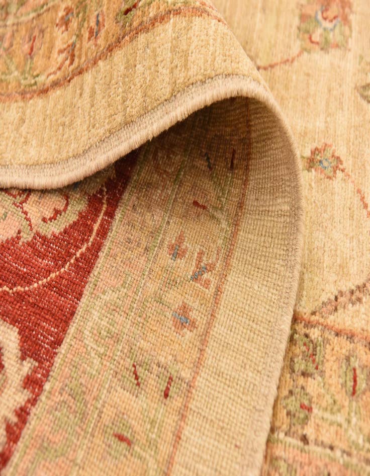 Detail image of  9' 10 x 12' 9  Hand Knotted Peshawar Ziegler Rug