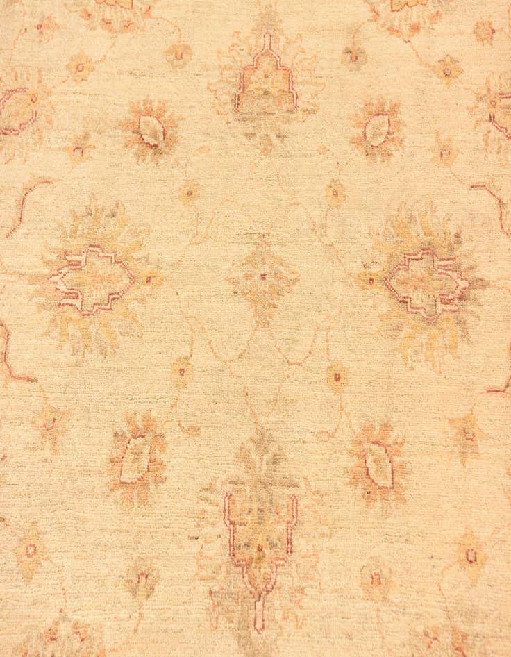 Detail image of  5' 7 x 7' 9  Hand Knotted Peshawar Ziegler Rug