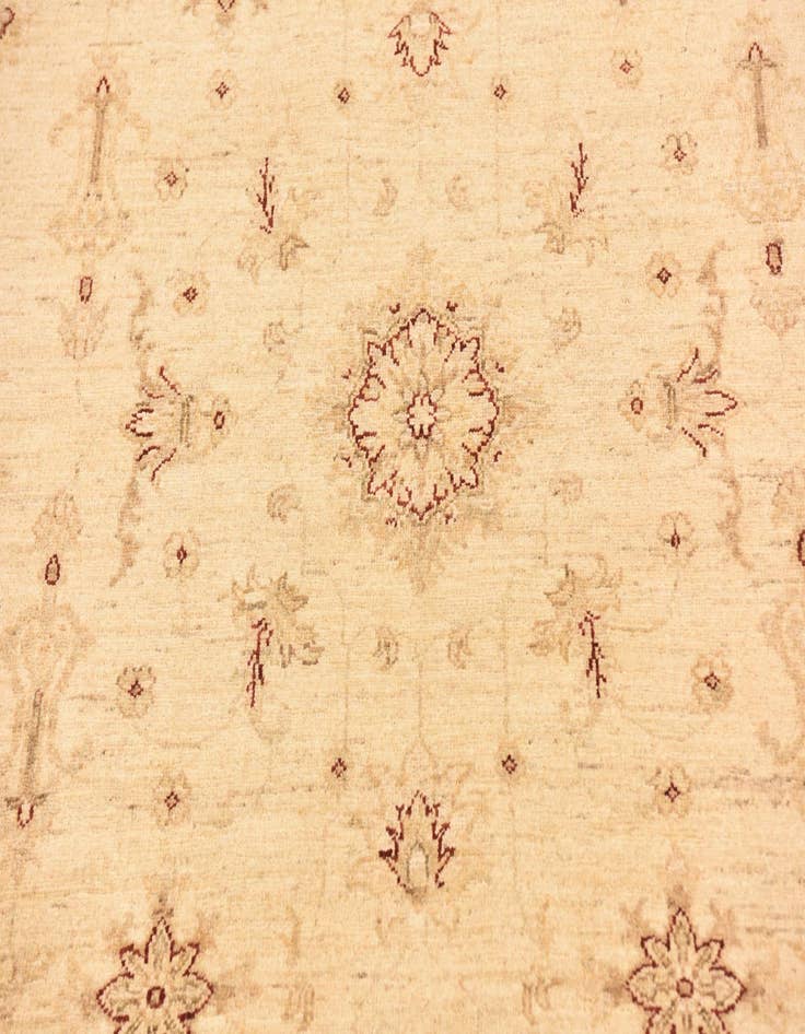 Detail image of  5' 8 x 7' 3  Hand Knotted Peshawar Ziegler Rug