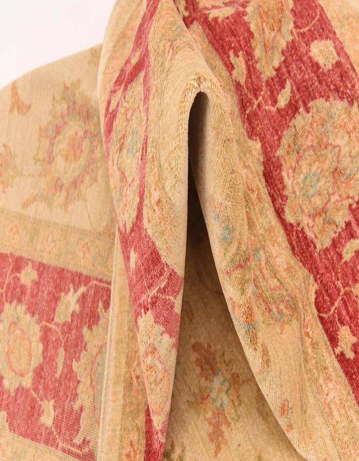 Detail image of  6' 8 x 9' 9  Hand Knotted Peshawar Ziegler Rug