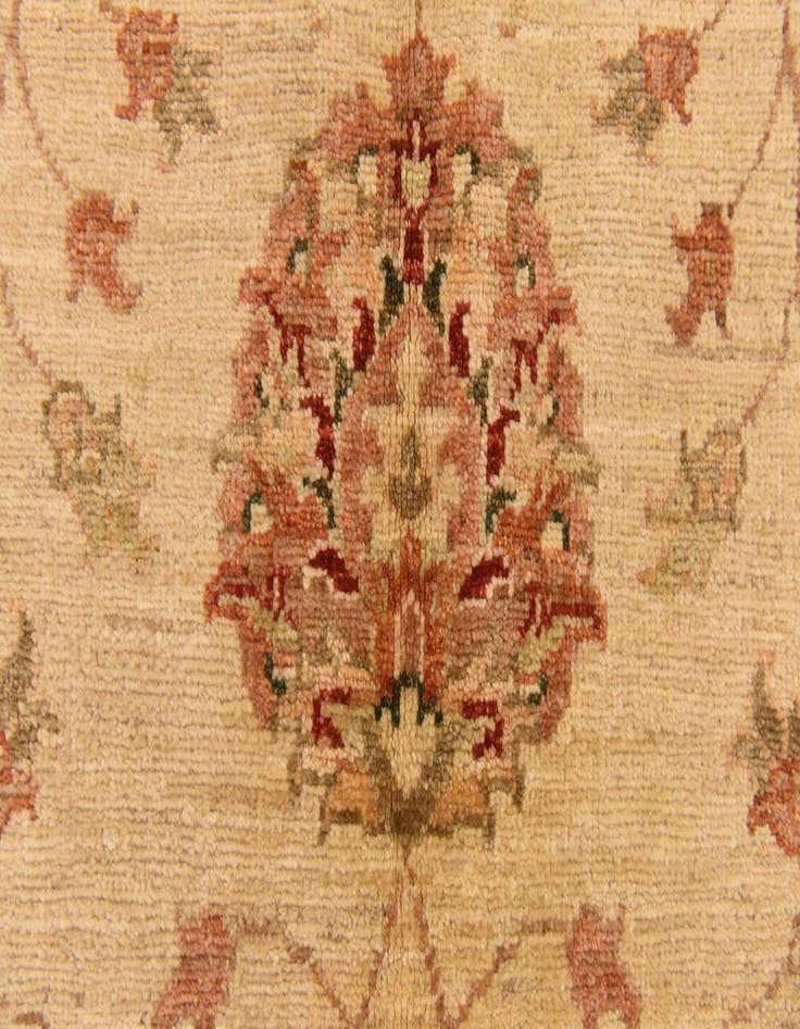 Detail image of  5' 2 x 6' 4  Hand Knotted Peshawar Ziegler Rug