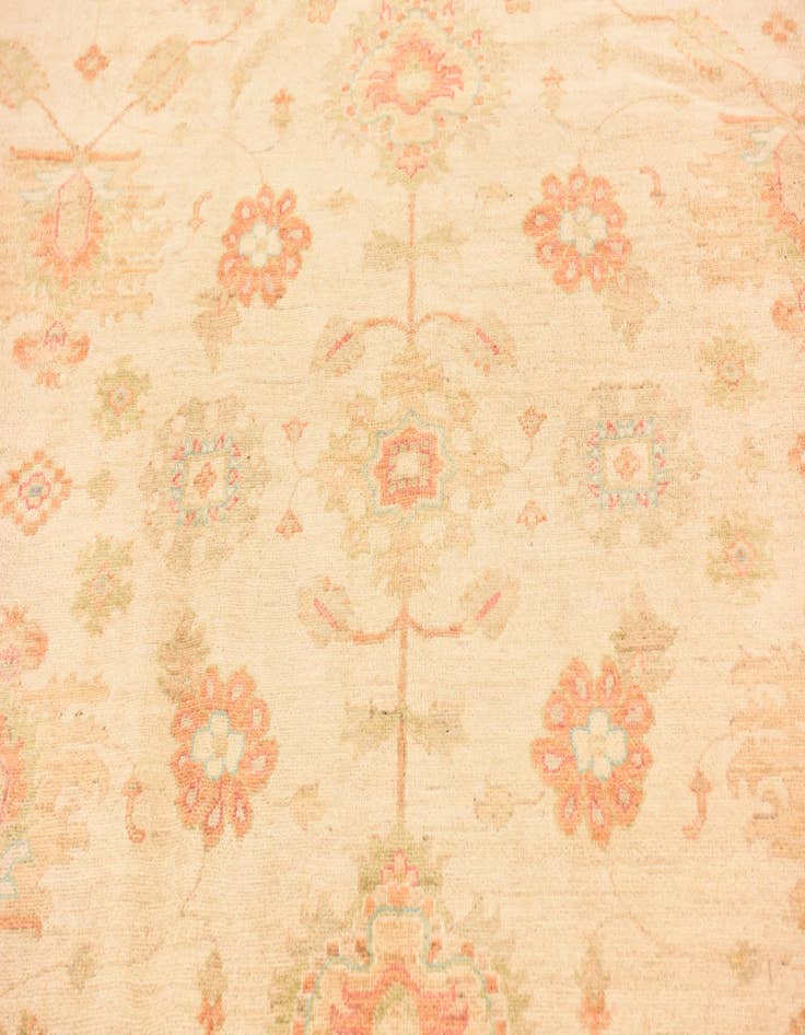 Detail image of  6' 9 x 9' 7  Hand Knotted Peshawar Ziegler Rug