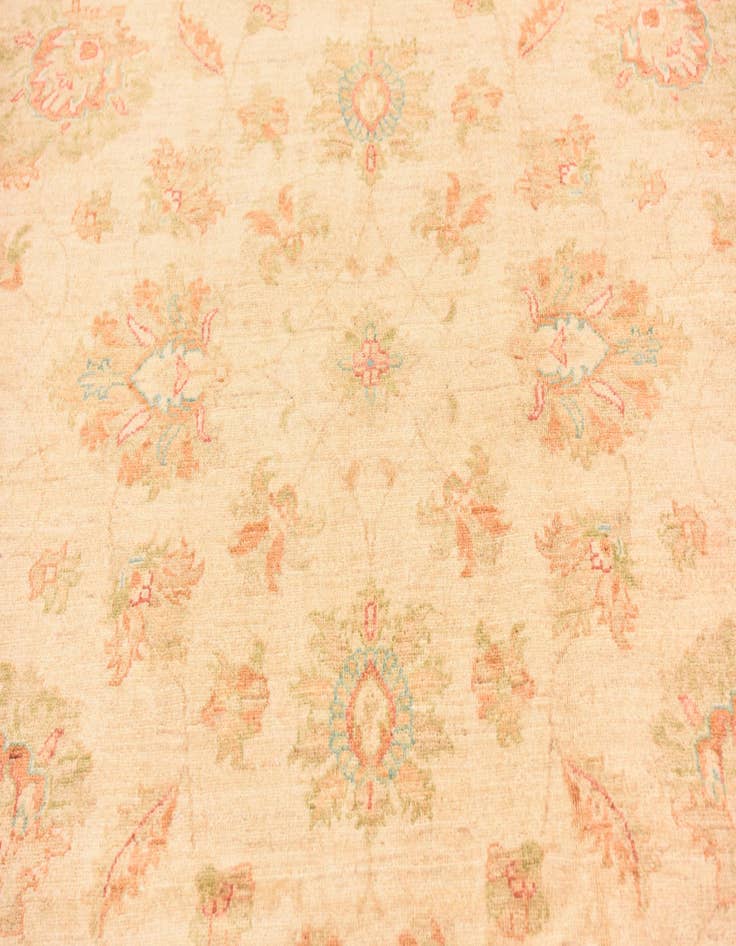 Detail image of  6' 8 x 9' 7  Hand Knotted Peshawar Ziegler Rug