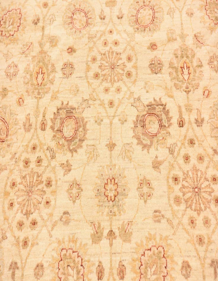 Detail image of  6' 1 x 9' 1  Hand Knotted Peshawar Ziegler Rug