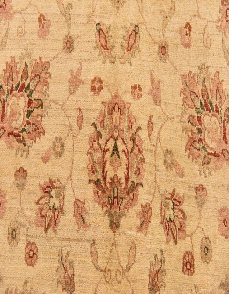 Detail image of  5' 2 x 6' 7  Hand Knotted Peshawar Ziegler Rug