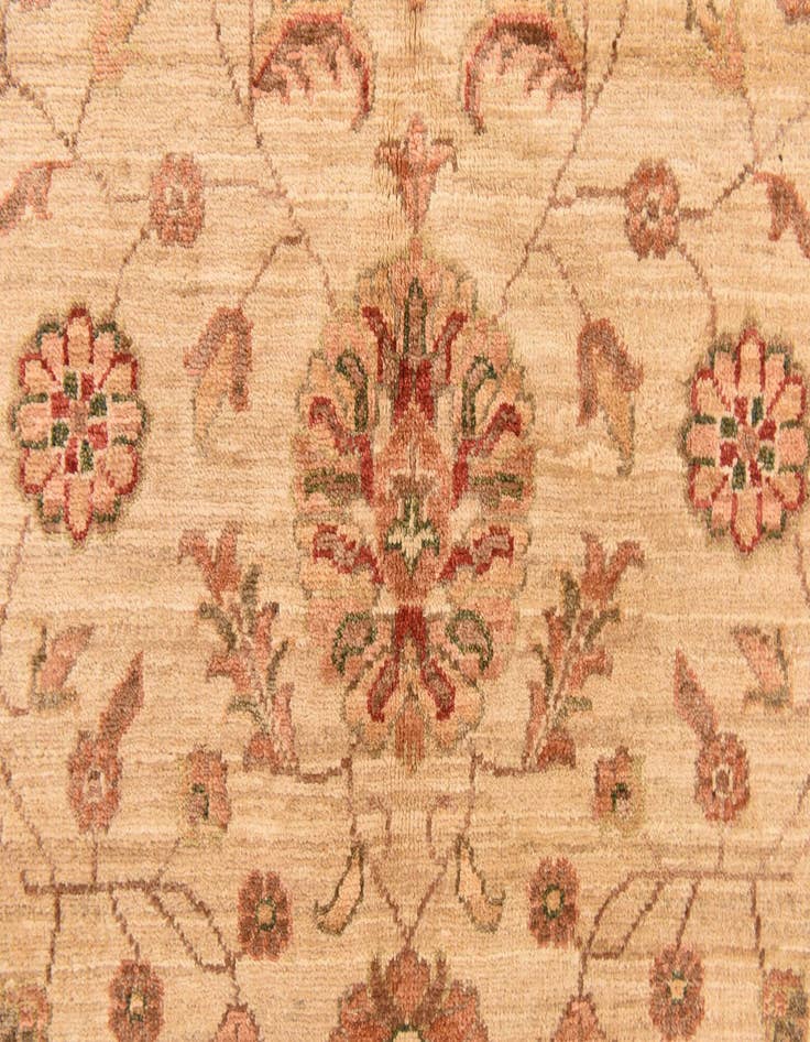 Detail image of  5' 1 x 6' 4  Hand Knotted Peshawar Ziegler Rug