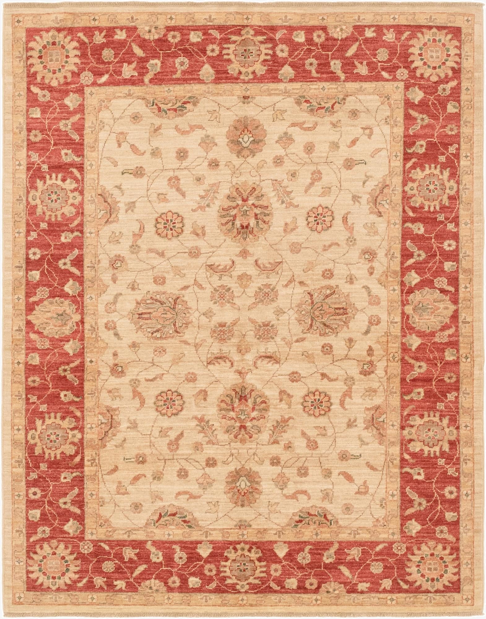  5' 1 x 6' 4  Hand Knotted Peshawar Ziegler Rug