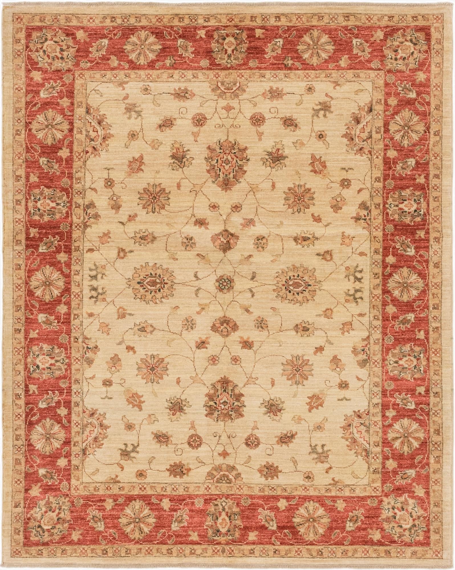  5' 3 x 6' 6  Hand Knotted Peshawar Ziegler Rug
