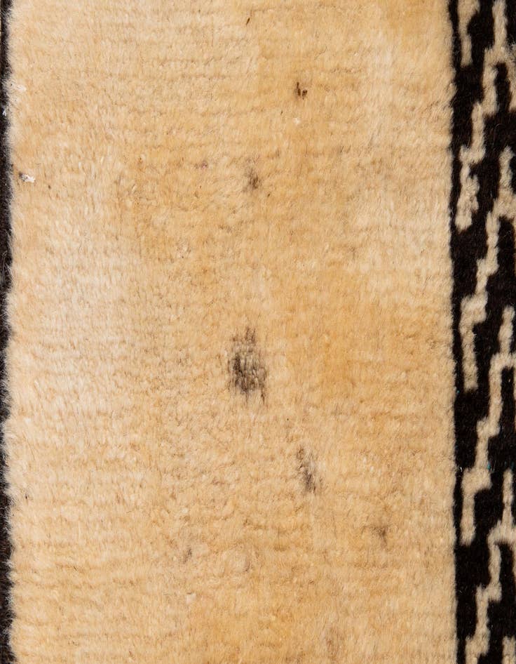 Detail image of  8' 8 x 11' 4  Hand Knotted Tabriz Persian Wool Rug