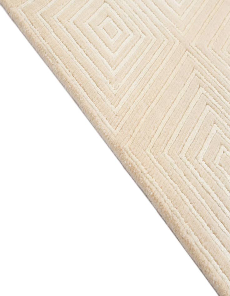 Detail image of  2' 7 x 9' 7  Hand Knotted Darya Wool Runner Rug