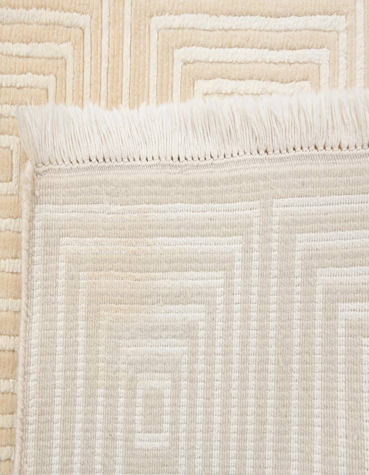 Detail image of  2' 7 x 9' 7  Hand Knotted Darya Wool Runner Rug