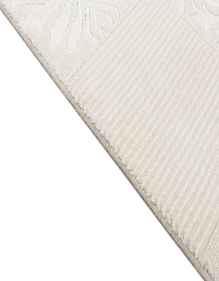 Detail image of  2' 7 x 13' 3 Darya Runner Rug