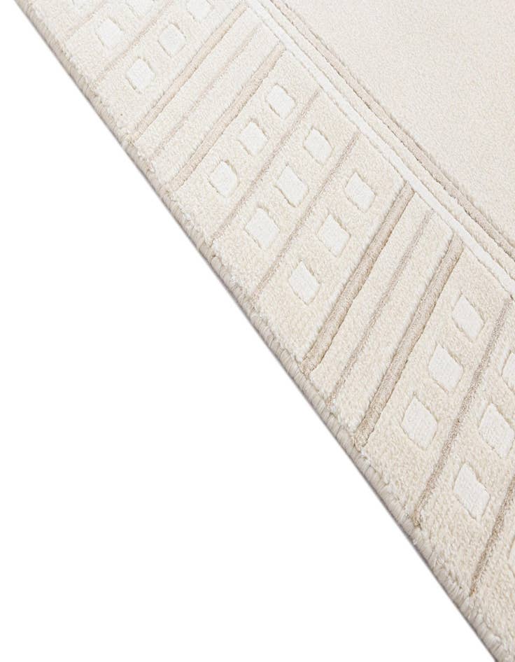 Detail image of  2' 7 x 13' 1 Darya Runner Rug